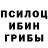 Галлюциногенные грибы Magic Shrooms Oll Hein